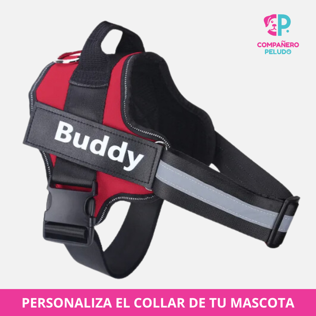 Arnés Personalizado Con Nombre Y Teléfono
